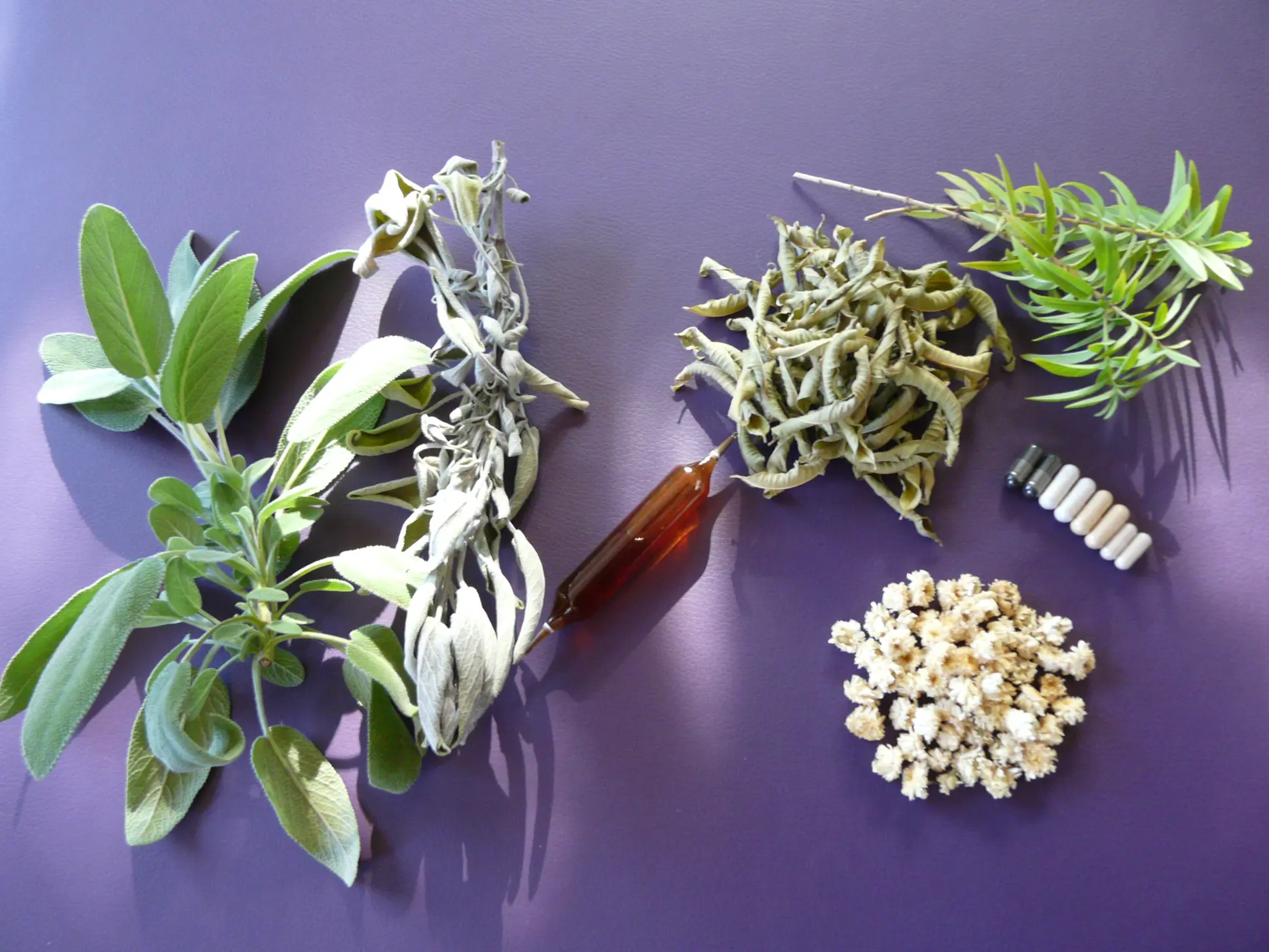 image soigner avec les plantes et phytothérapie